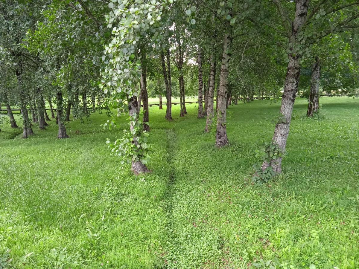 Apartamento Turistico Rural Casa Chain 루고 외부 사진